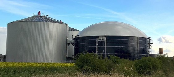 Bild zu: Biogas: Die Lösung für Wärme, Strom und Mobilität