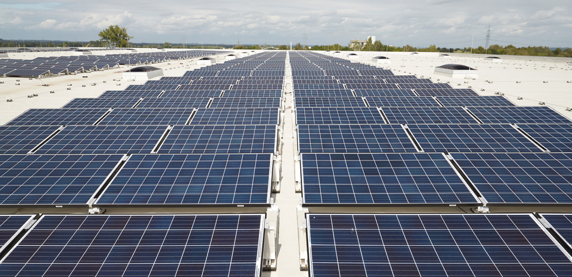 Auf dem Weg zur Klimaneutralität: Das Solarstrom-Projekt der REWE Group 