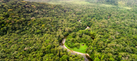 Bild zu: CO₂-Kompensation für Unternehmen – darauf gilt es zu achten