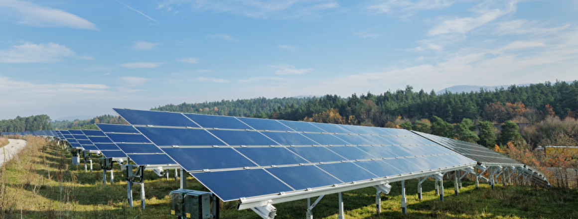 Erneuerbare Energien: Preistreiber oder Preissenker?