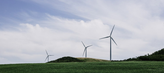 Bild zu: European Green Deal – alle Informationen für Unternehmen