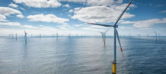 Bild zu: Corporate Power Purchase Agreement: Neuer Weg für REWE