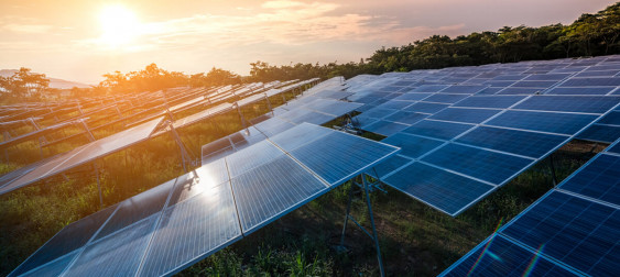 Bild zu: Meldepflicht für Betreiber von Photovoltaikanlagen