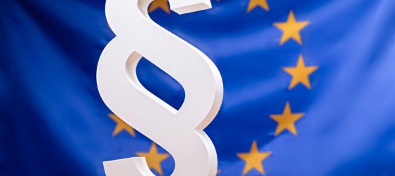 Bild zu: Die Kundenanlage ist tot – es lebe die Hausverteileranlage