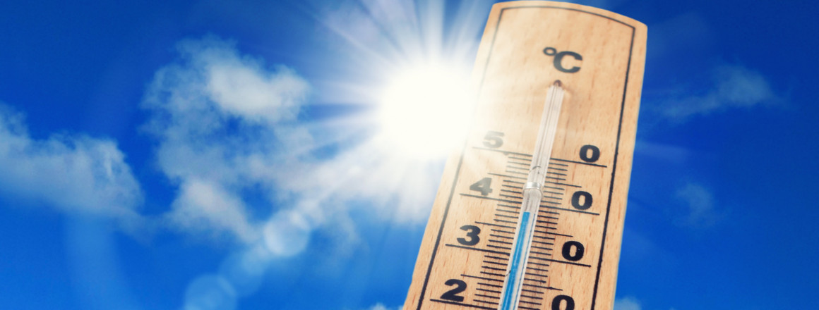 Reform der Netzentgelte