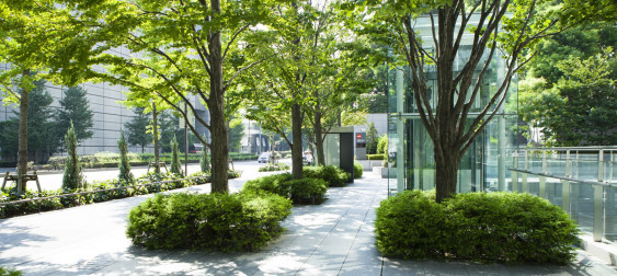 Bild zu: Klimaschutzstrategie 