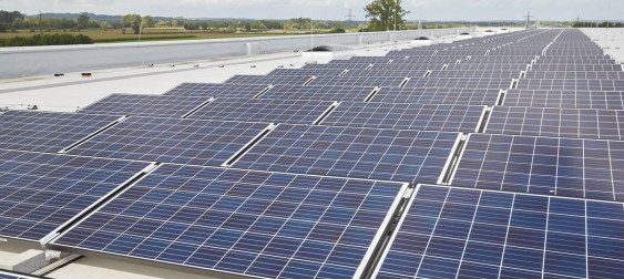 Bild zu: Photovoltaik für Unternehmen – mehr als nur Energiequelle